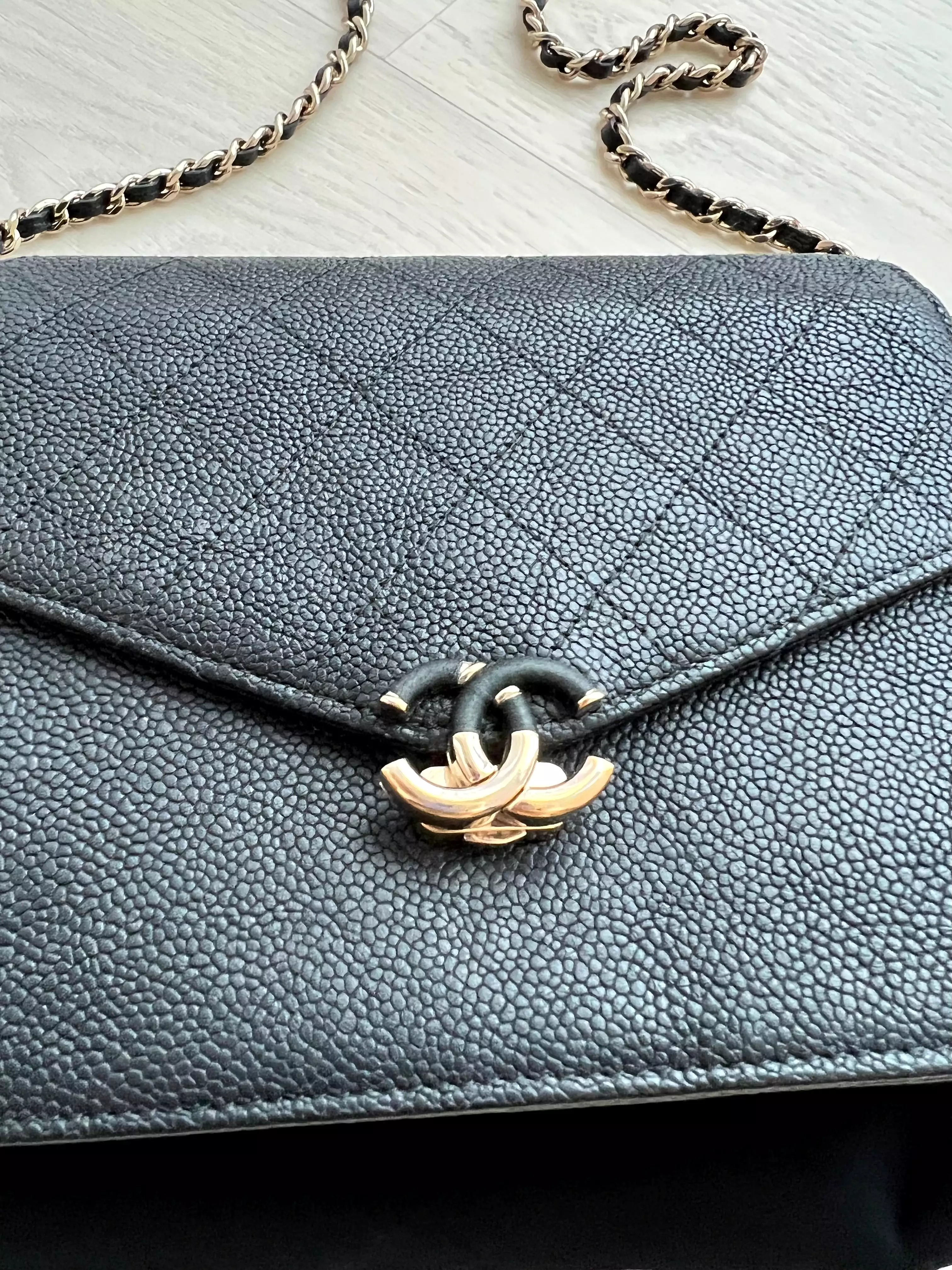 Chanel Seasonal Wallet On Chain Bag