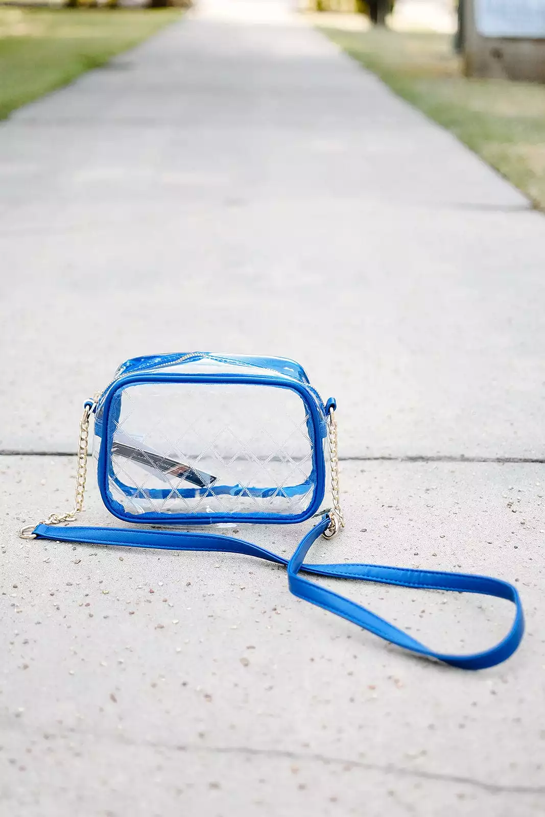 Clear Rectangle Purse Blue Trim