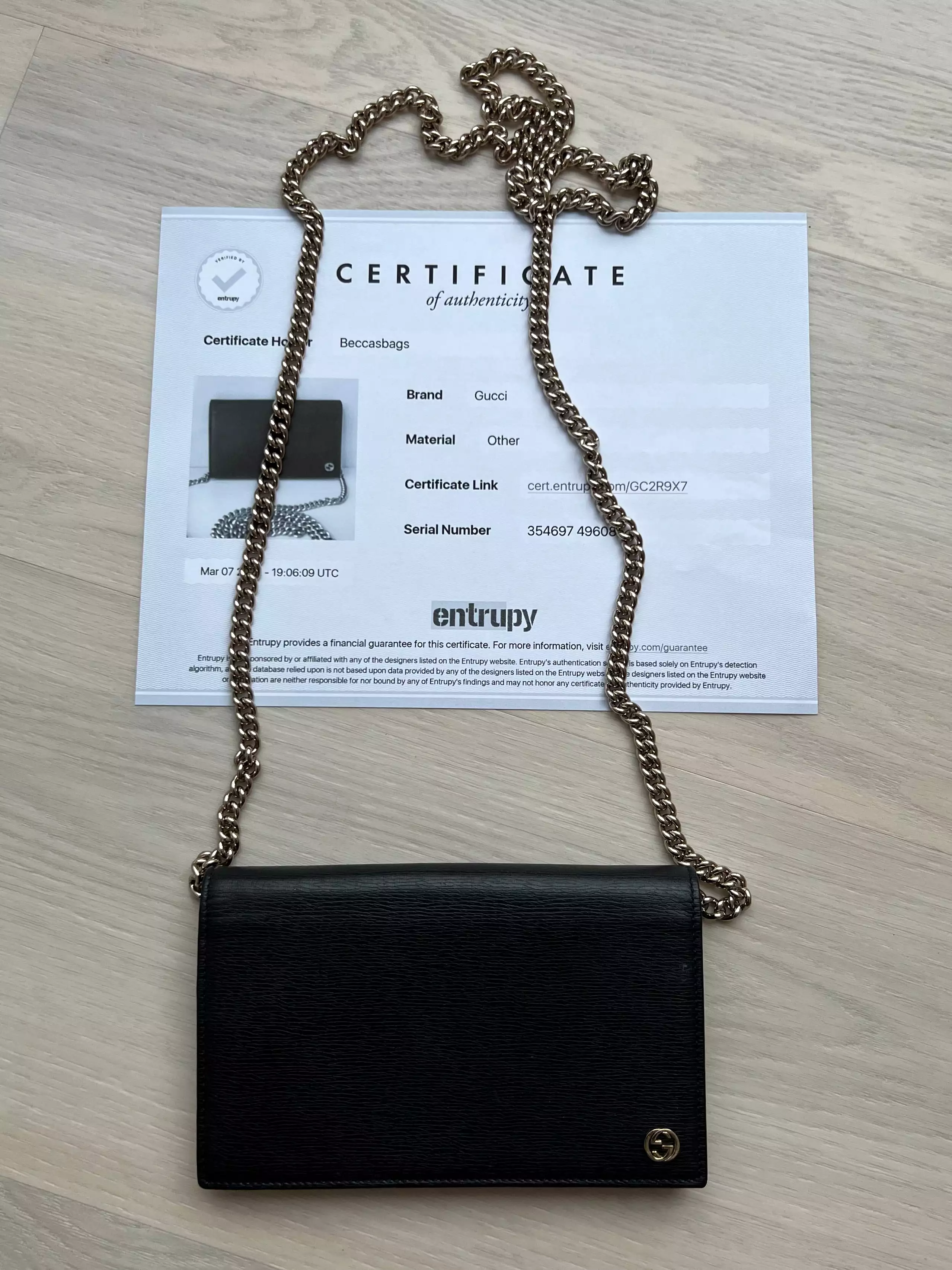 Gucci Wallet on Chain Bag