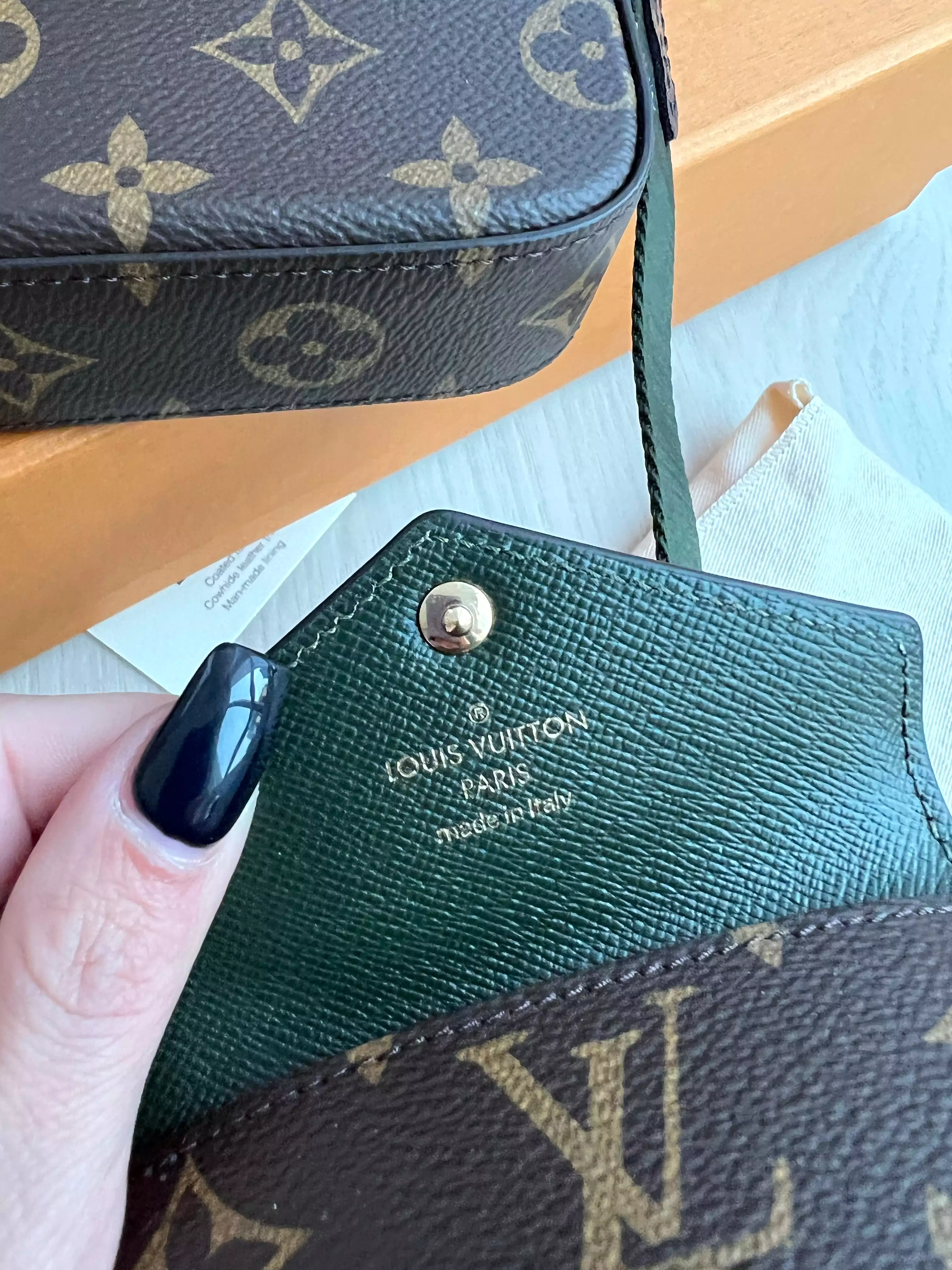 Louis Vuitton Felicie Strap & Go Bag