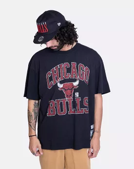 Mitchell & Ness Vintage HWC Ivy Arch CLR Bulls Tee