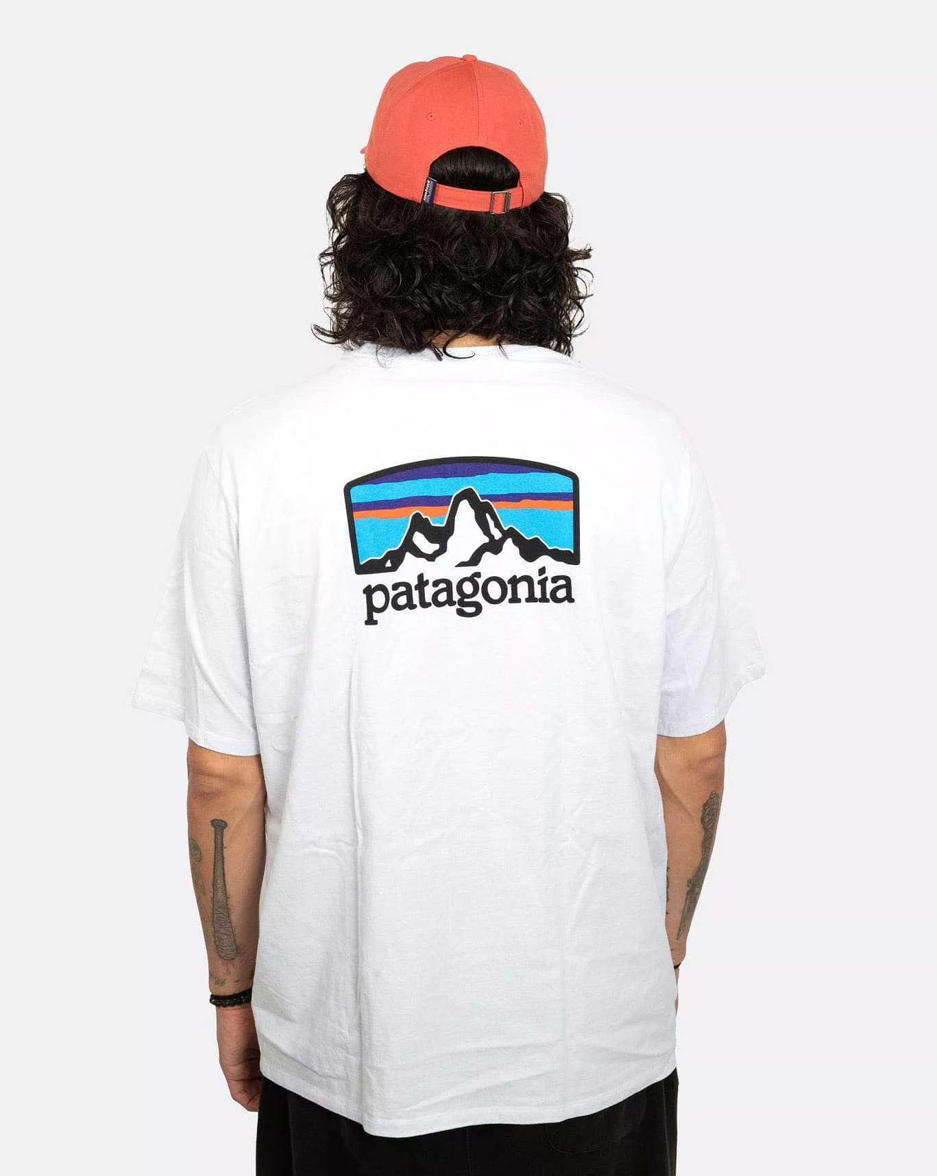 Patagonia M’s Fitz Roy Horizons Responsibili Tee