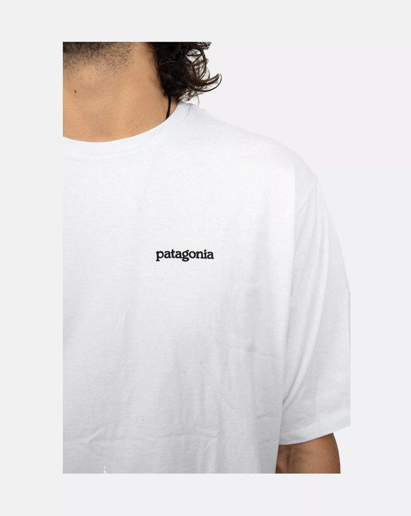 Patagonia M’s Fitz Roy Horizons Responsibili Tee