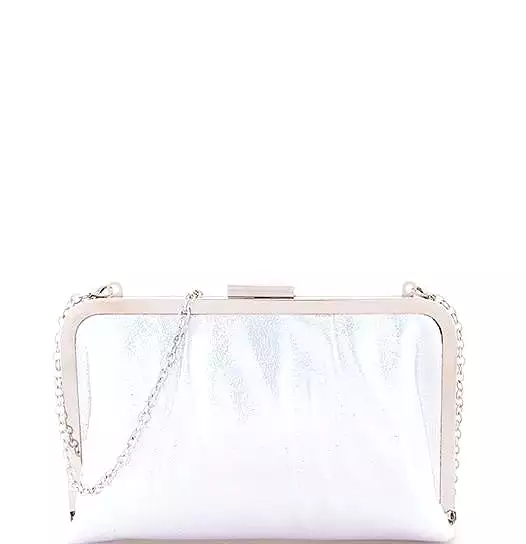 Silver Chic Glossy Purse